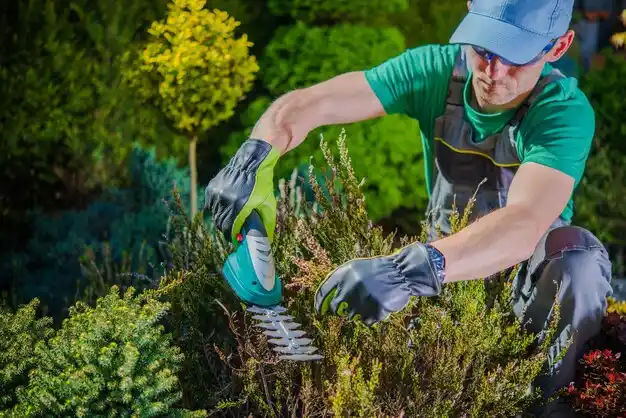 landscaping services North Hills